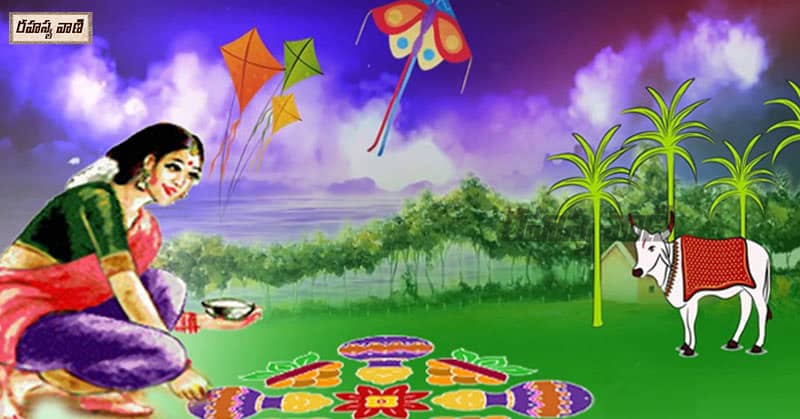 Significance of Sankranti Festival