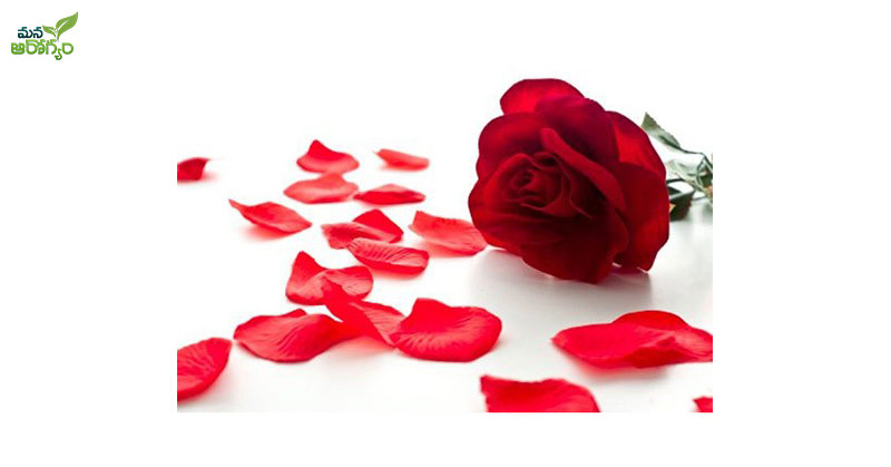 health benefits of rose petals