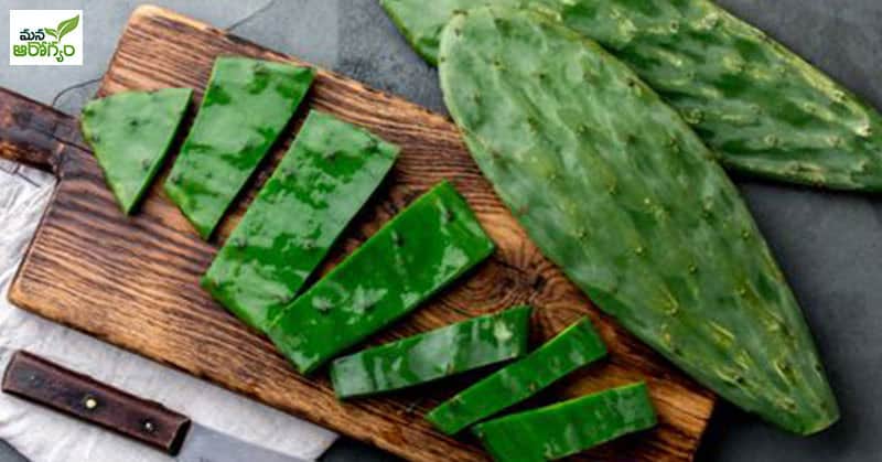 health benefits of cactus juice