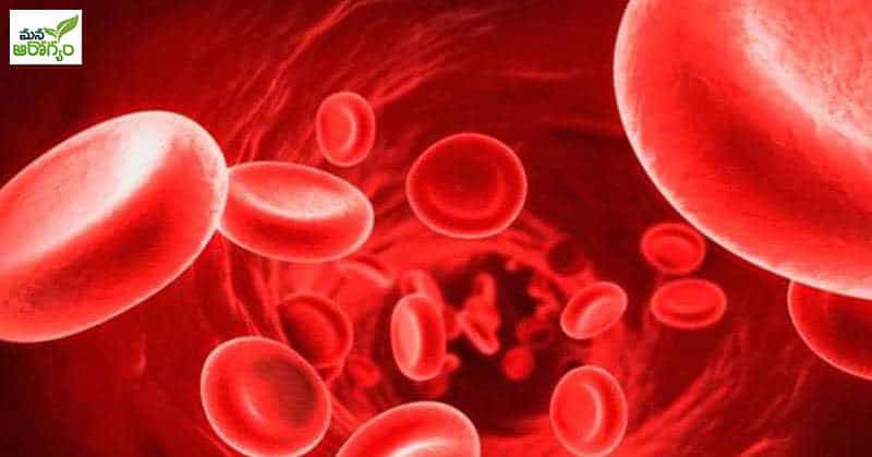 foods that can cure anemia