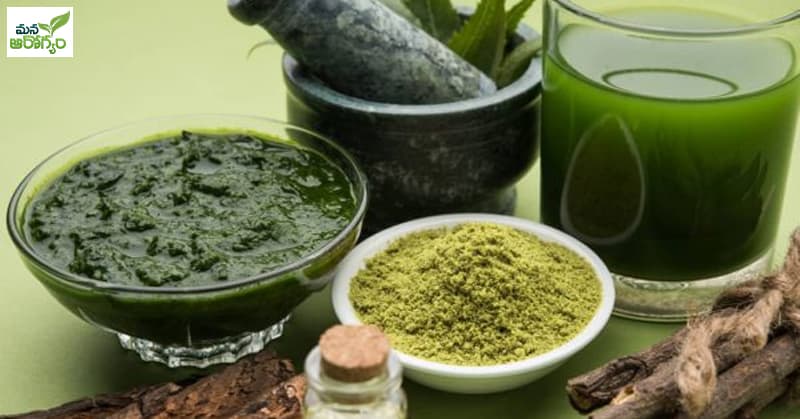 health benefits of neem powder