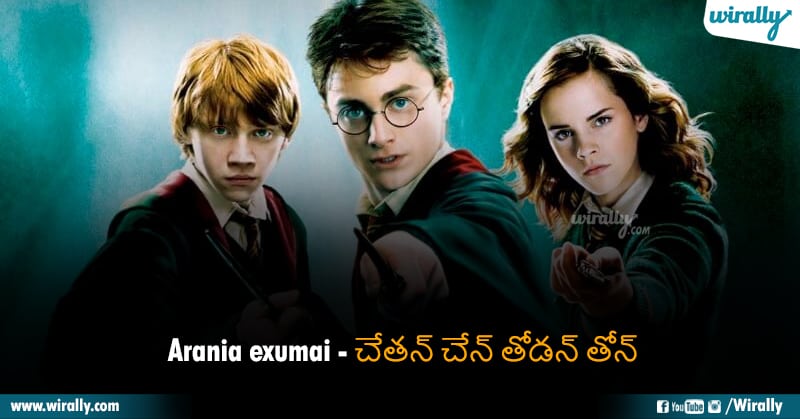 4 Harry Potter