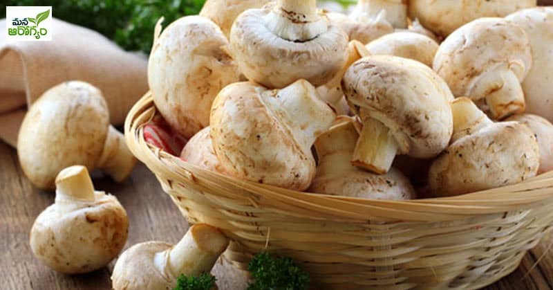 health benefits of black mushrooms