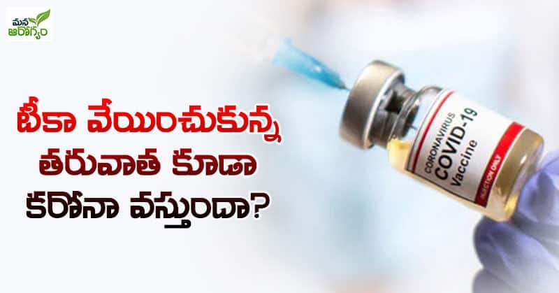 Precautions to be taken at least while frying the vaccine
