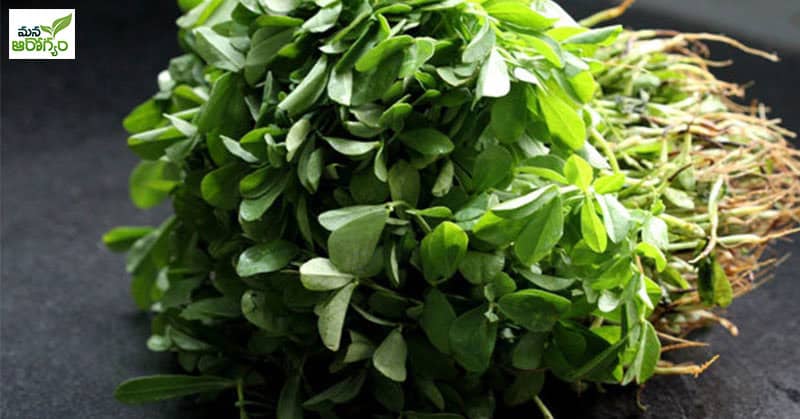 Health Benefits of Eating Menthi Leaf