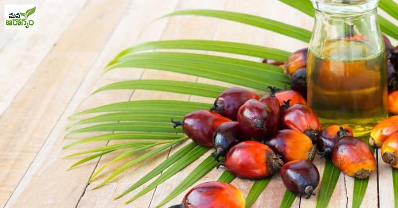 Risks Of Overuse Of Palm Oil