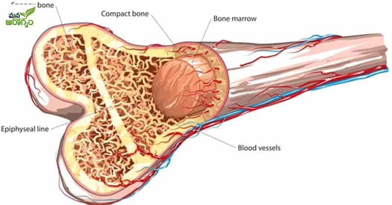 Symptoms That Appear When Blood Cancer Occurs