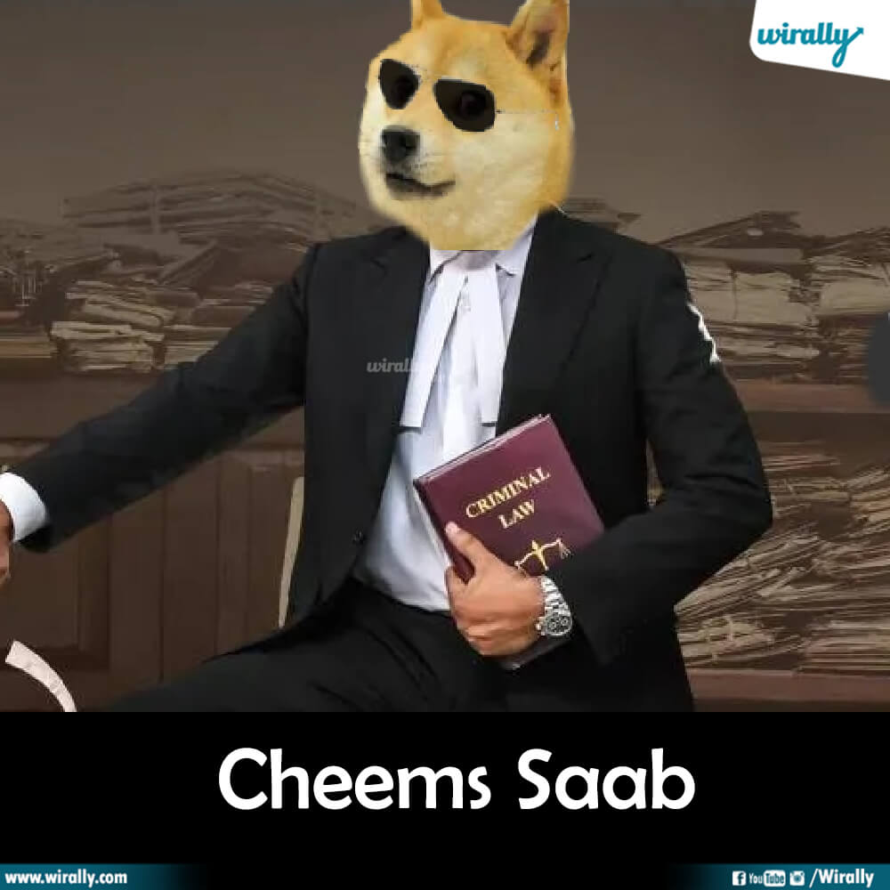Cheems Saab