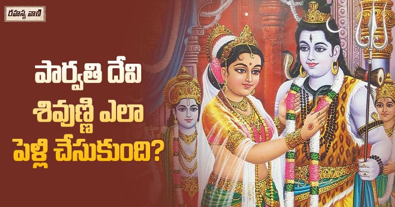 how did parvati devi married shiva