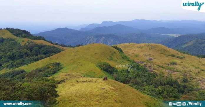 Love Trekking? 8 South Indian Destinations For Perfect Adventure ...