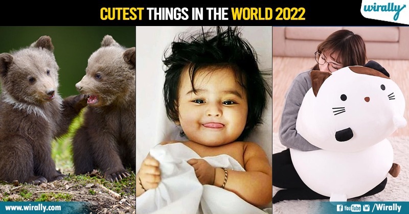 Top 9 Cutest Things in the World 2022